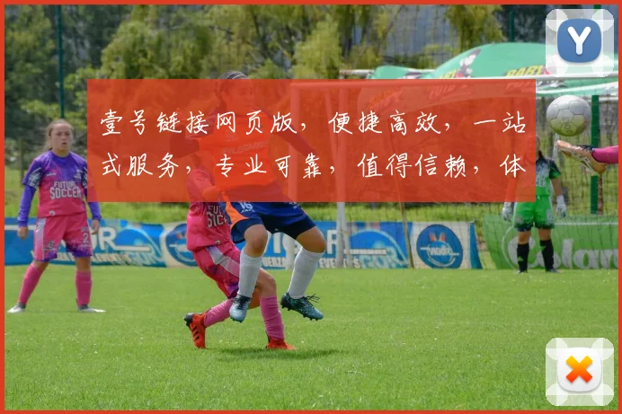 壹号链接网页版，便捷高效，一站式服务，专业可靠，值得信赖，体验非凡