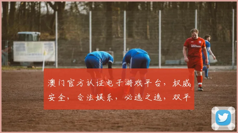 澳门官方认证电子游戏平台，权威安全，合法娱乐，必选之选，双平台登录，体验非凡