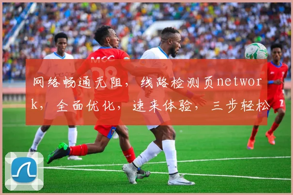 网络畅通无阻，线路检测页network，全面优化，速来体验，三步轻松检测
